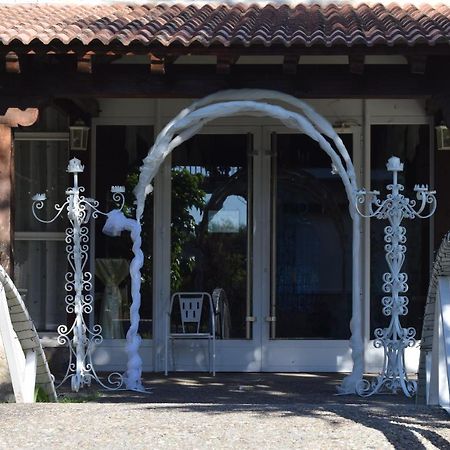 Las Casitas del Jardín Tudela de Duero Exterior foto